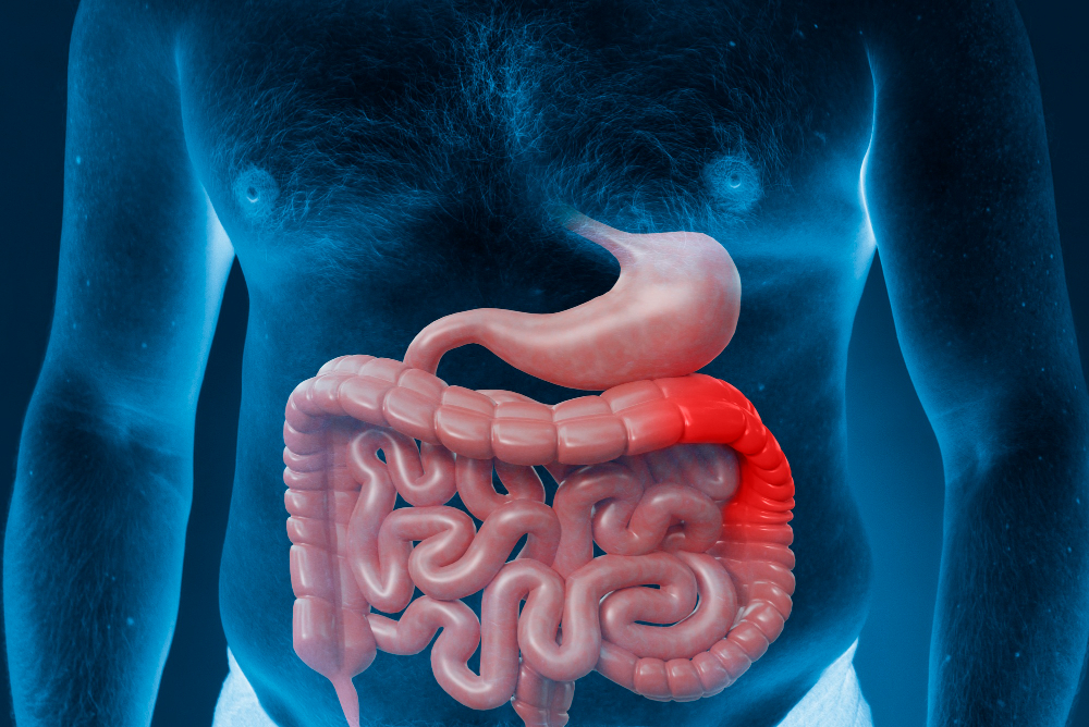 Medical Gastroenterology